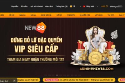 NEW88 – Nhà cái trực tuyến uy tín số 1 châu Á